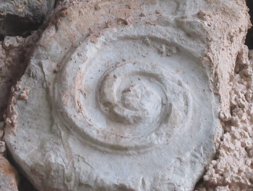 Slider.Carousel_OFFLine3_1150x868_72dpi