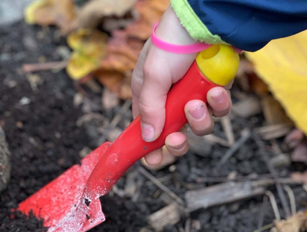 Slider.Carousel_Schoepfungsdetektive1_1150x868_72dpi