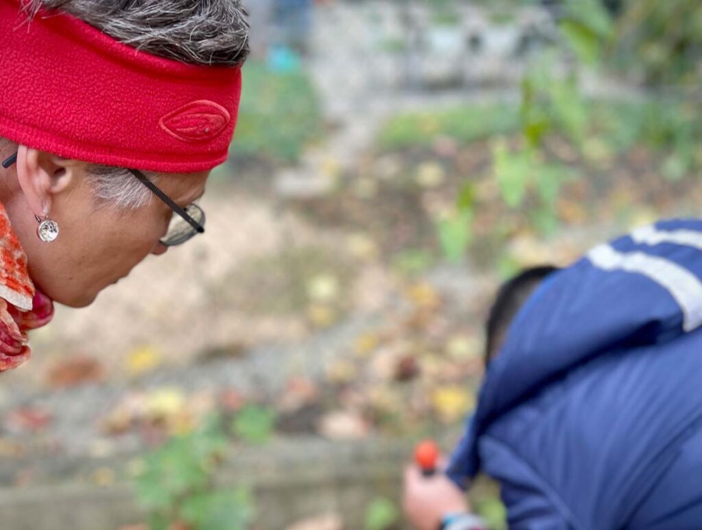 Slider.Carousel_Schoepfungsdetektive5_1150x868_72dpi